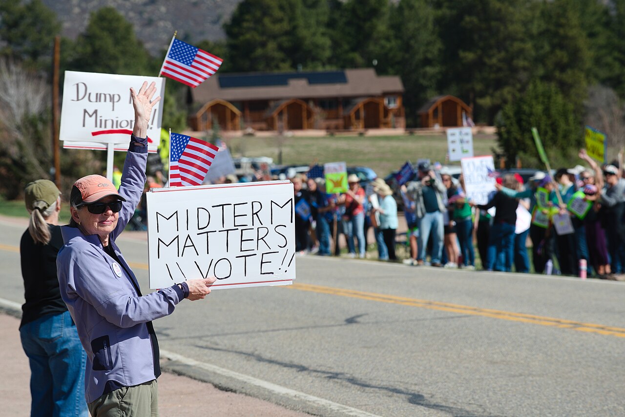 A woman in a purple jacket and a baseball cap holds a sign that says "MIDTERMS MATTERS || VOTE!!" and waves. She is standing on the side of a road with other people holding signs and American flags in the background.