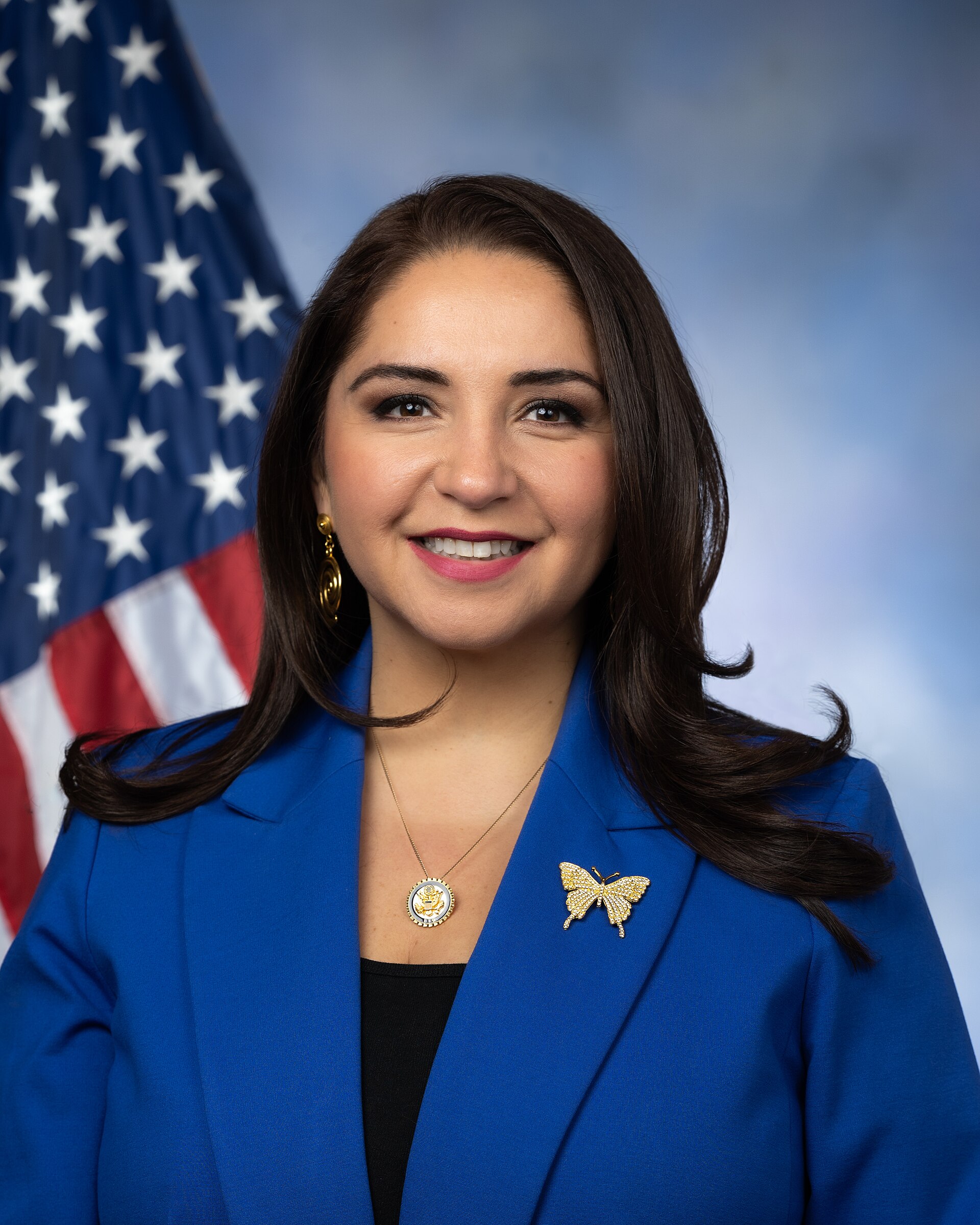 Delia Ramirez, a woman with long dark hair, wearing a blue blazer and a gold butterfly brooch, with an American flag in the background.
