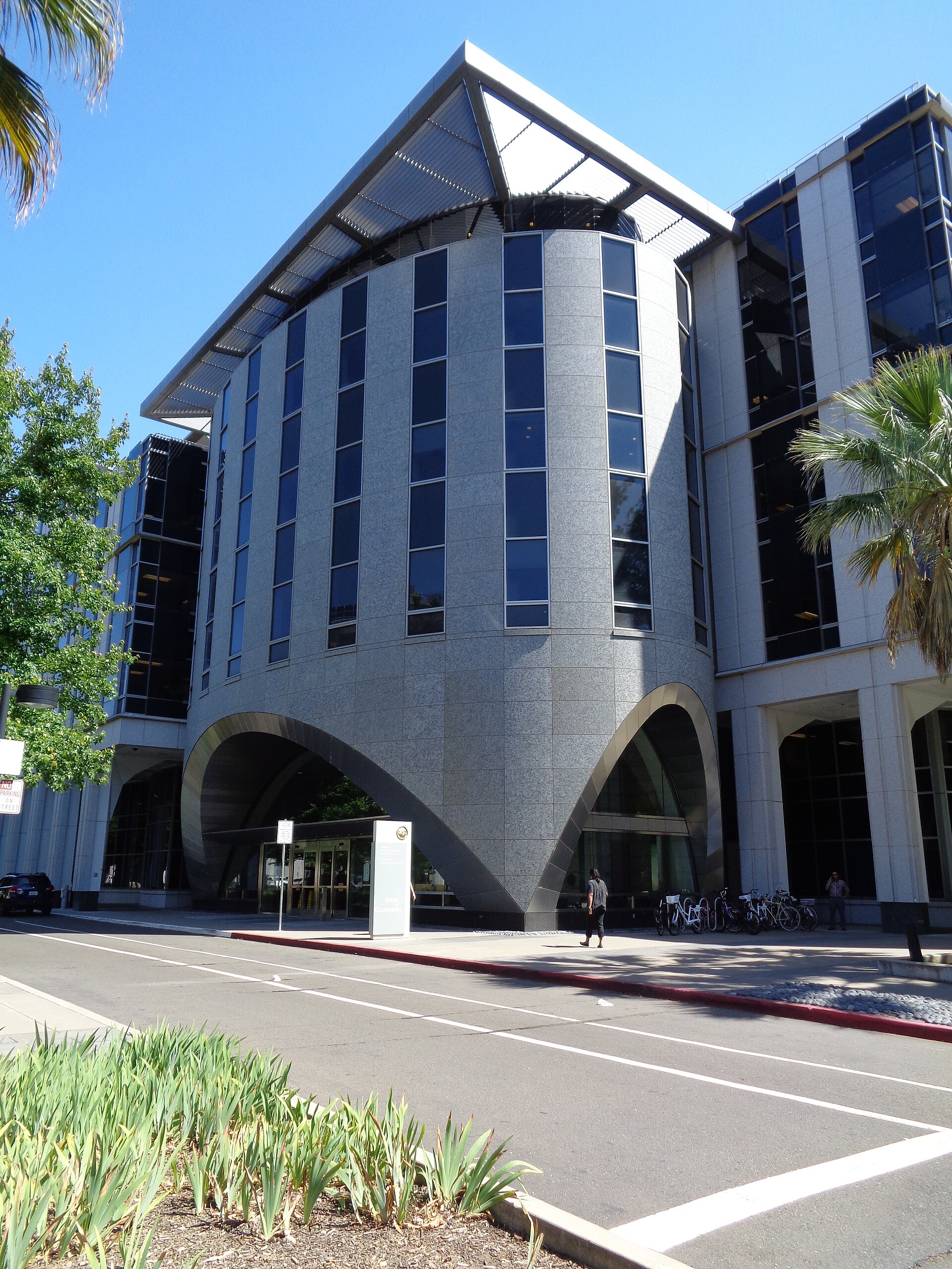 A modern building with a curved, grey stone facade and a sloped, metallic roof. The building has many tall, dark windows. In front of the building is a street with a red curb and white lines. There are some plants in the foreground.