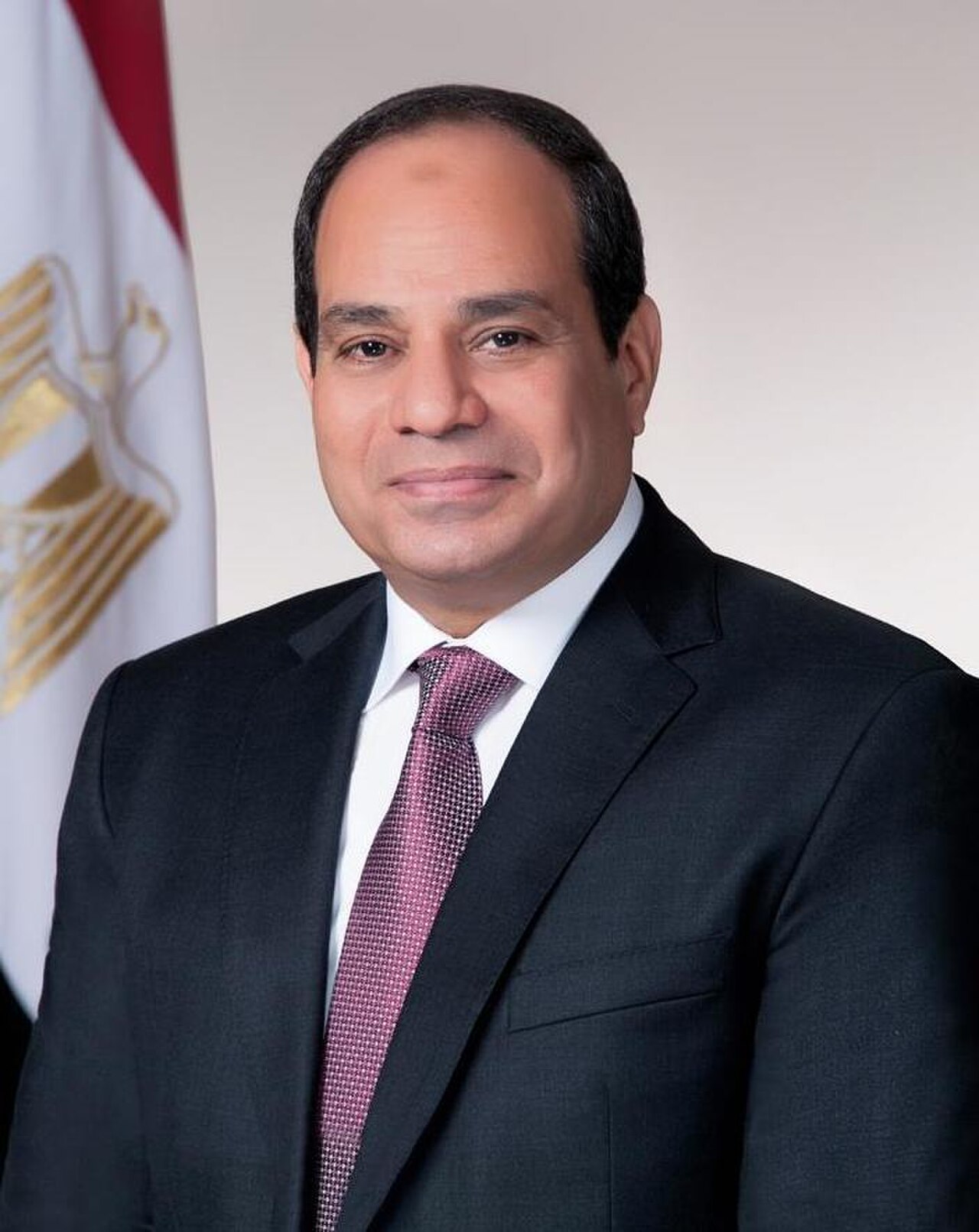 President Abdel Fattah el-Sisi of Egypt in a suit and tie, standing in front of the Egyptian flag.