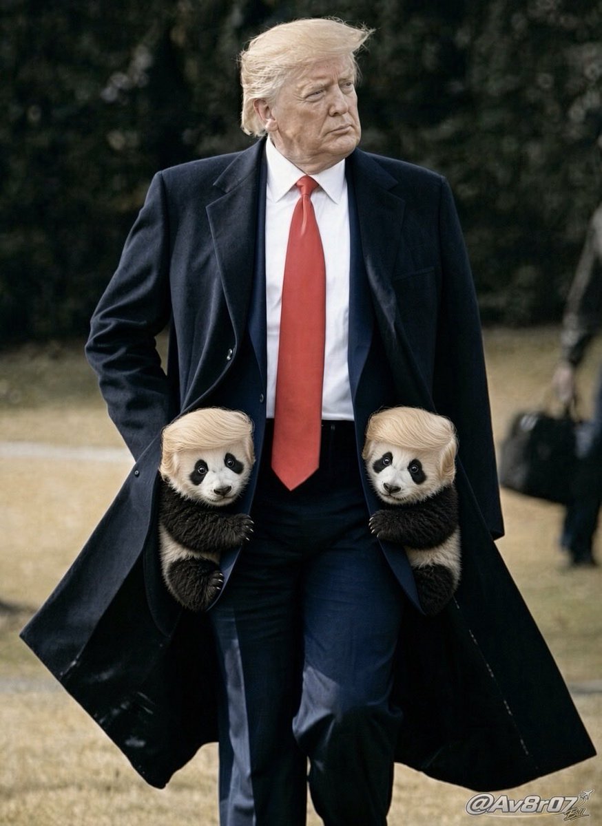 Satirical image of Donald Trump in a long coat with two panda cubs, styled with his hair, tucked in the pockets.